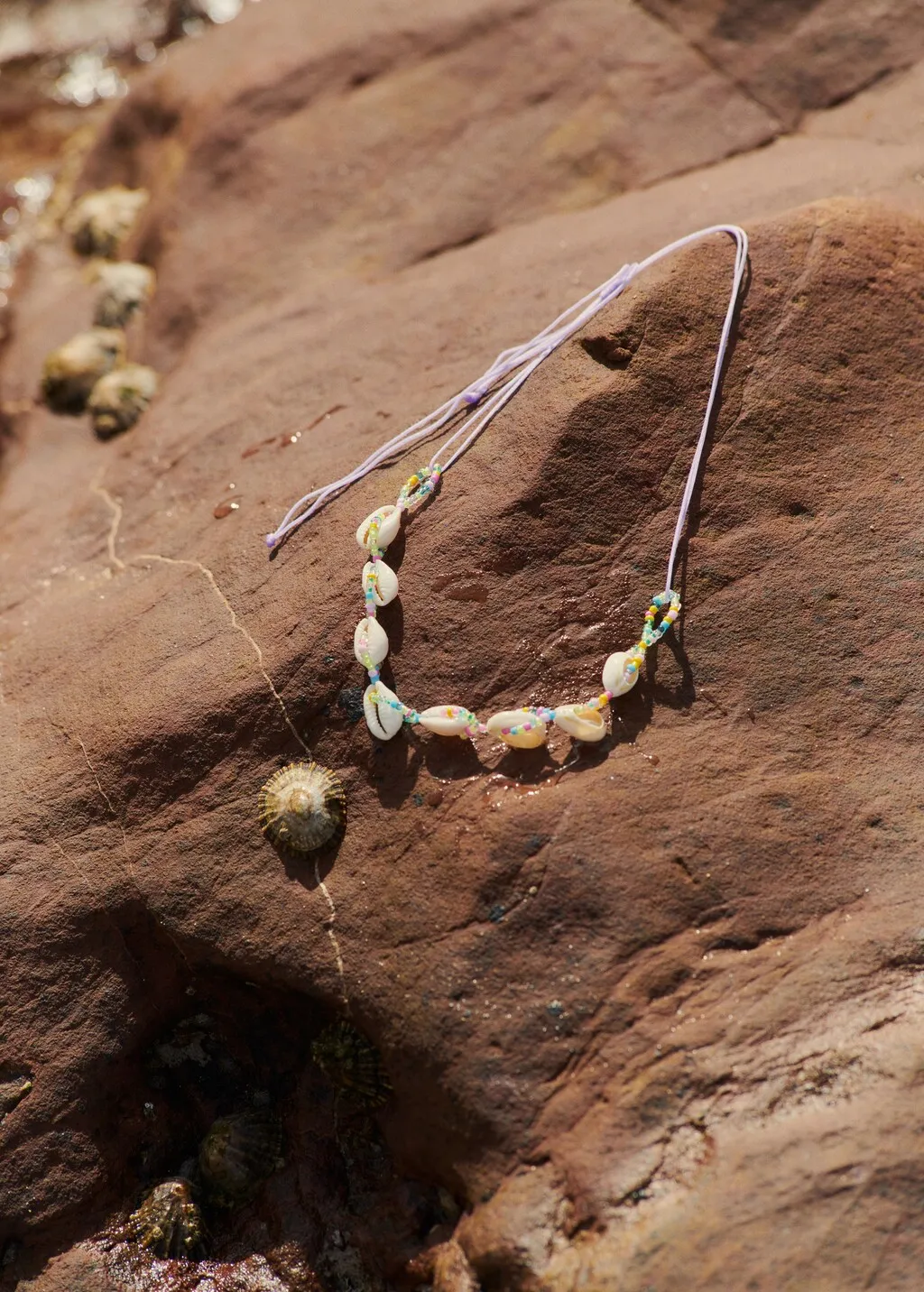 Collana conchiglie