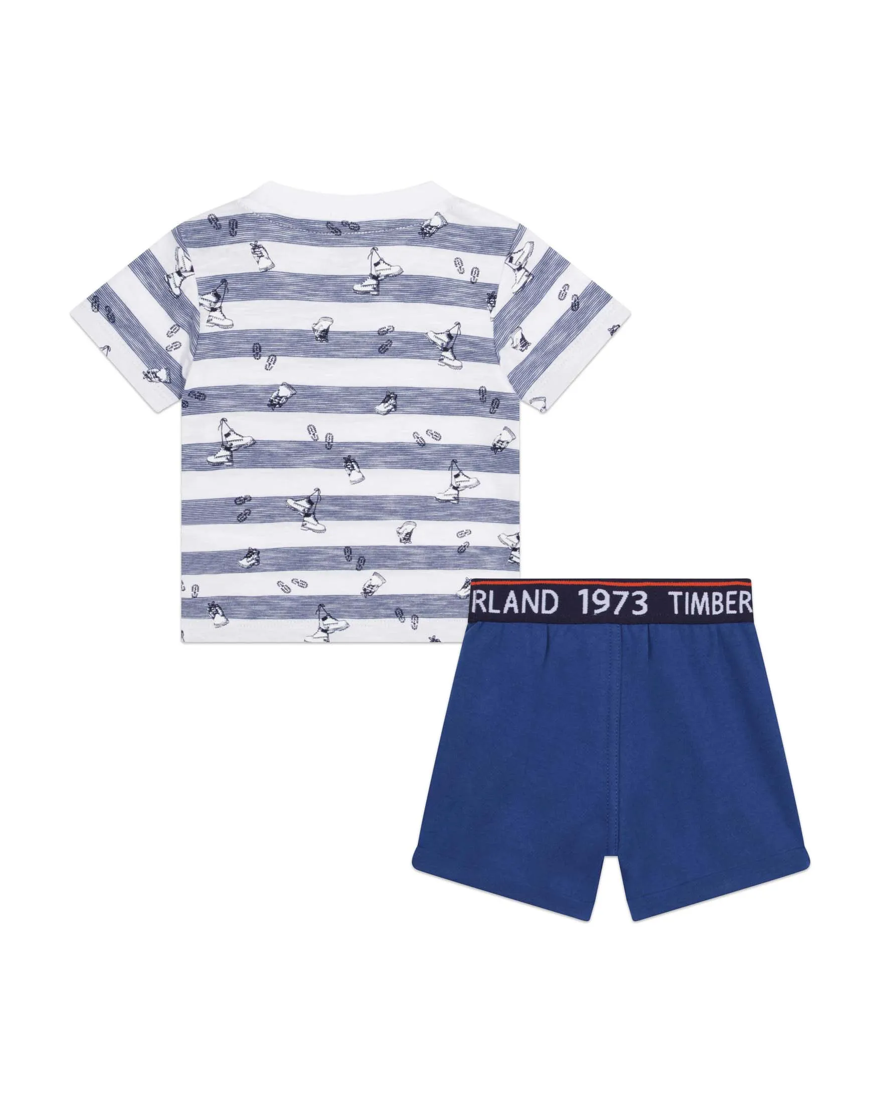 Completo composto da t-shirt fantasia con stampa e short abbinati 9-18 mesi