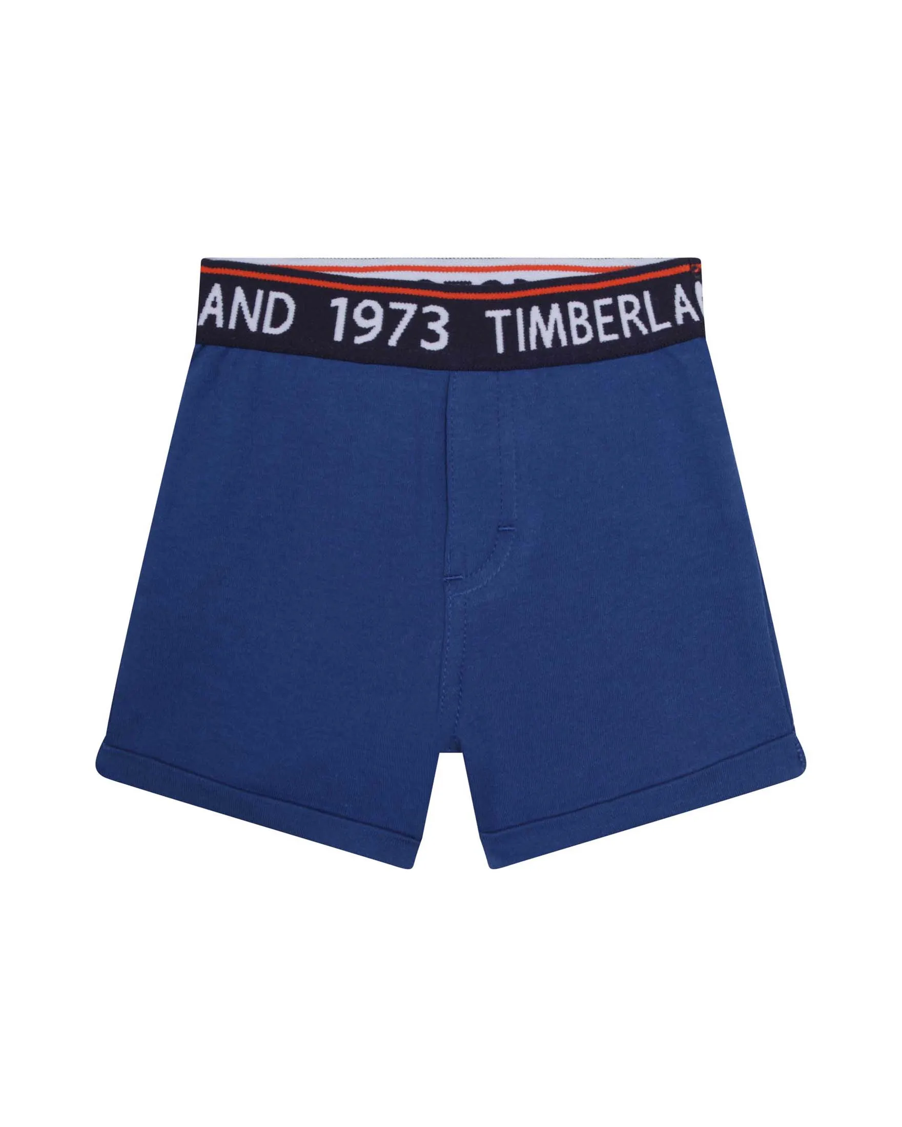 Completo composto da t-shirt fantasia con stampa e short abbinati 9-18 mesi