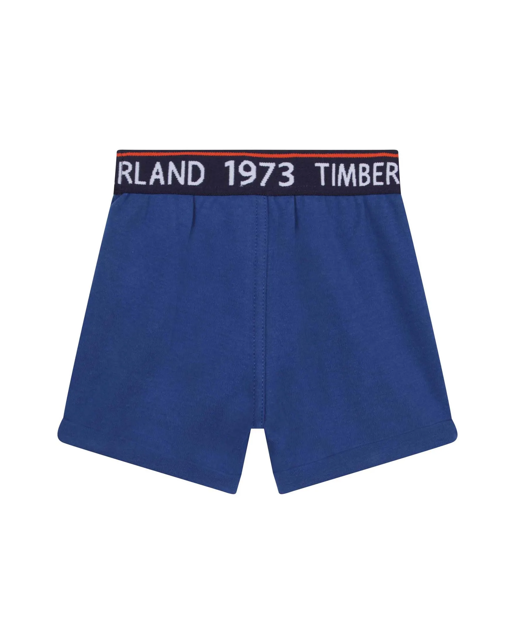 Completo composto da t-shirt fantasia con stampa e short abbinati 9-18 mesi