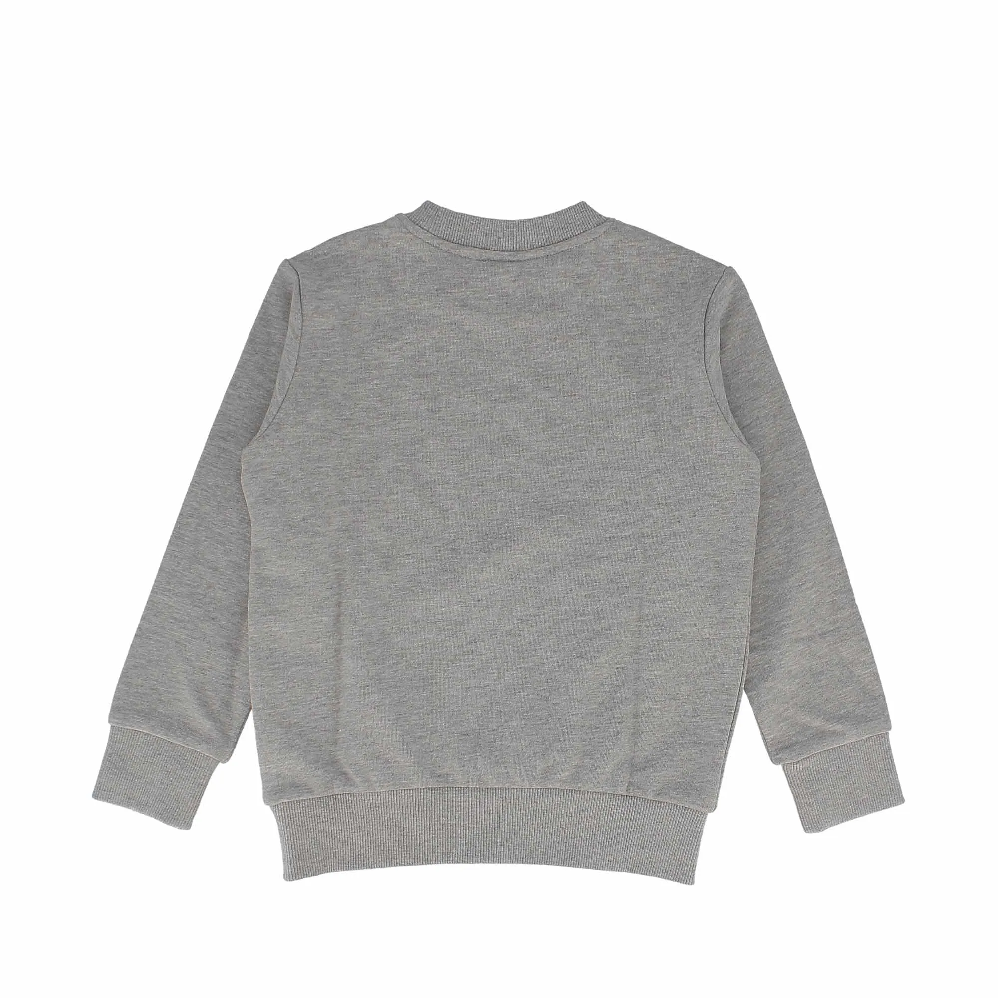 Felpa girocollo da bambino, grigio            