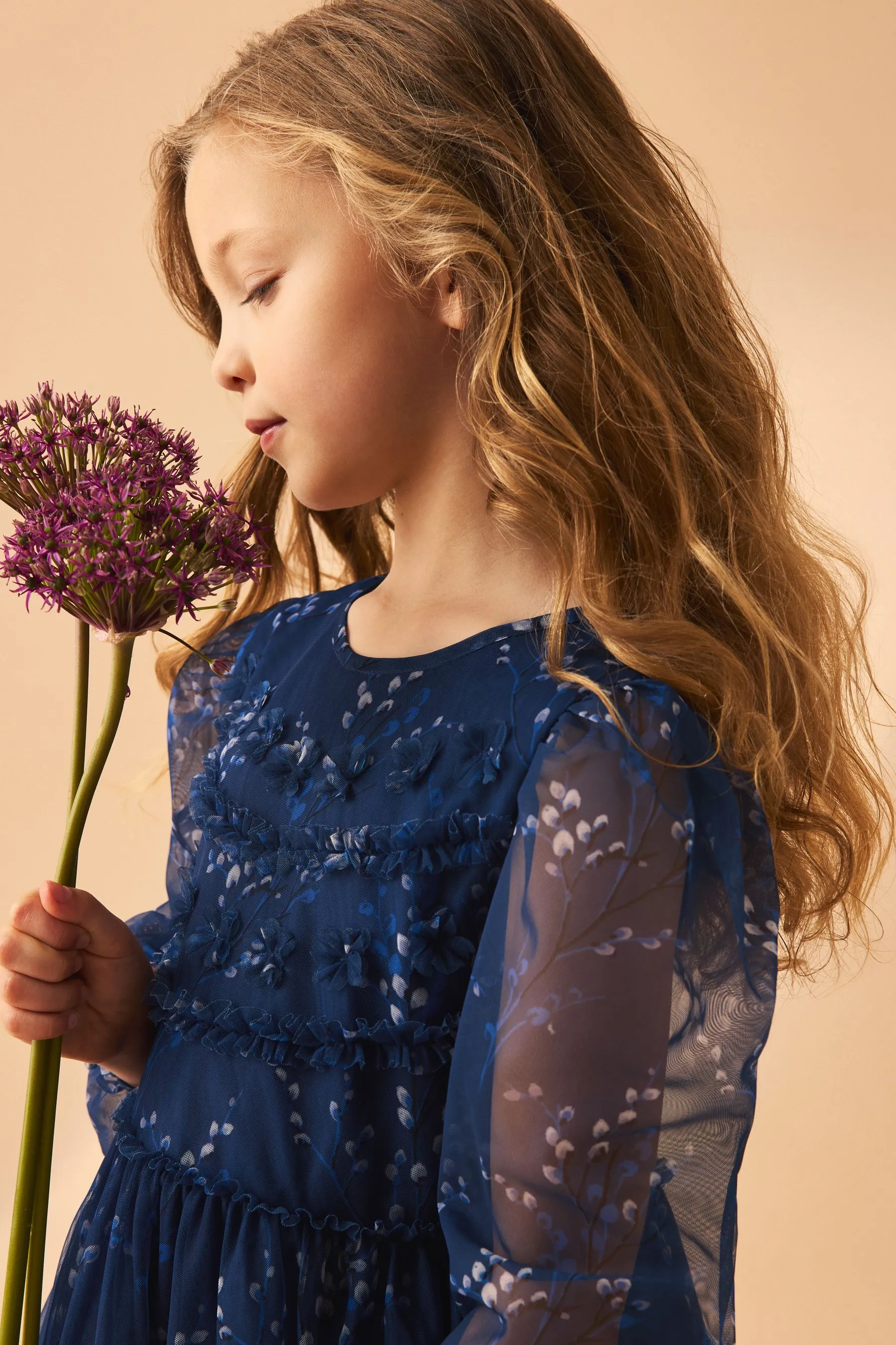 Laura Ashley Tiered Manica lunga Mesh Vestito    