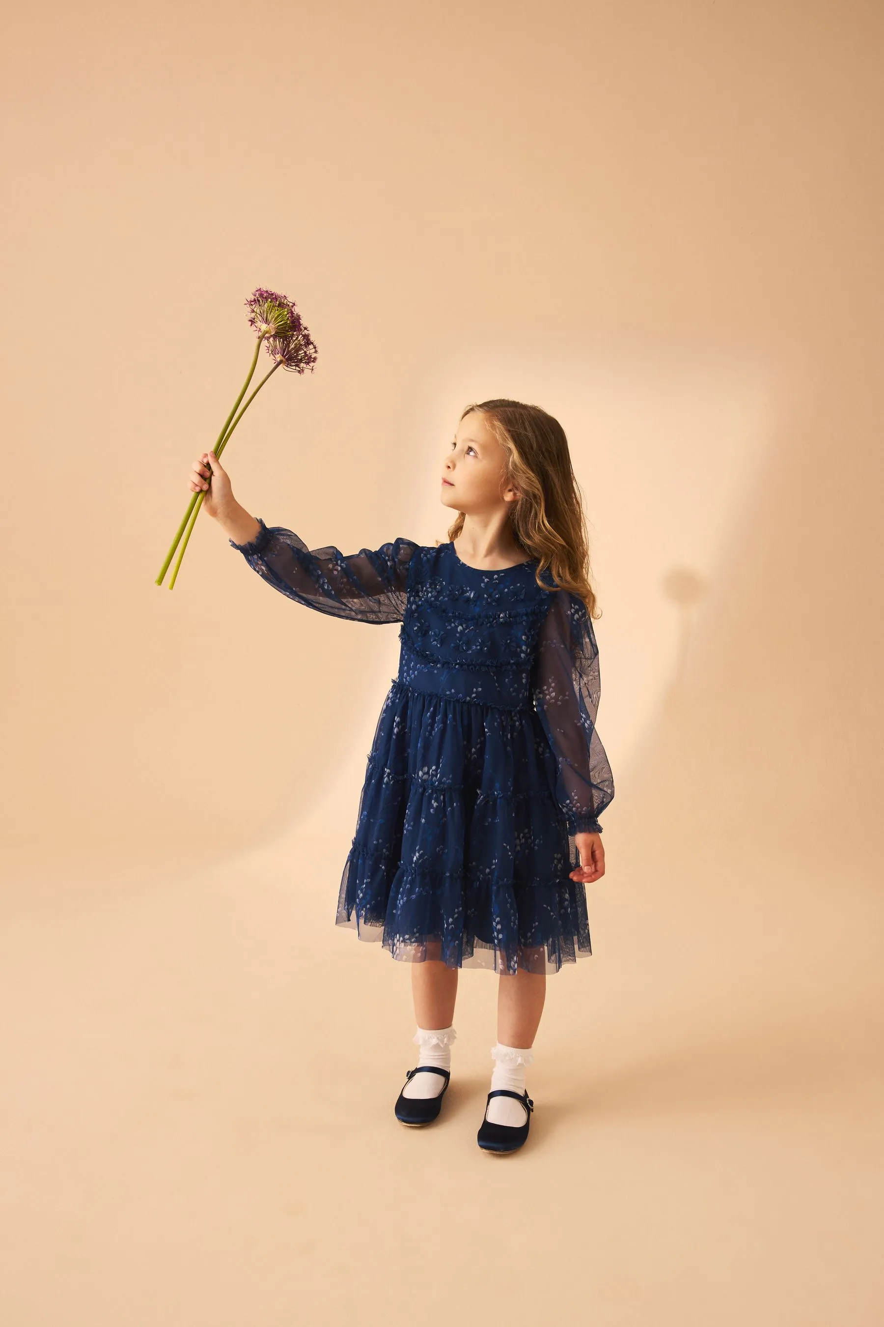 Laura Ashley Tiered Manica lunga Mesh Vestito    