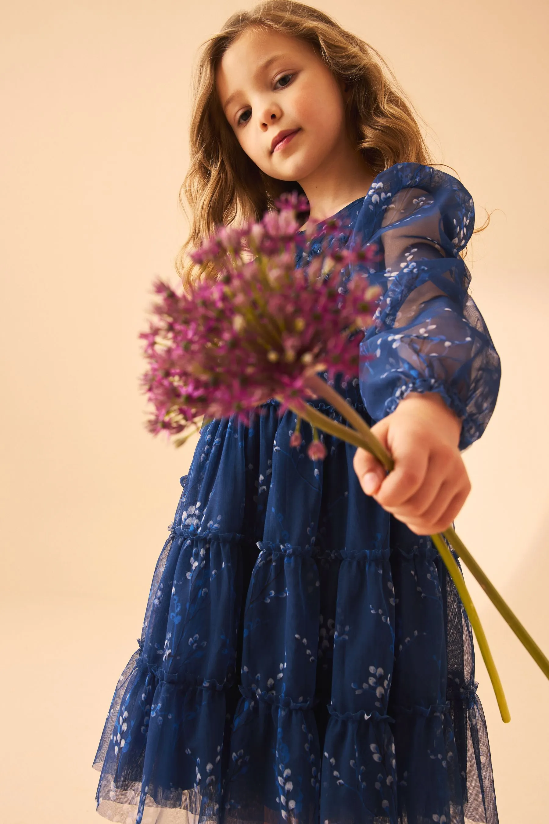 Laura Ashley Tiered Manica lunga Mesh Vestito    