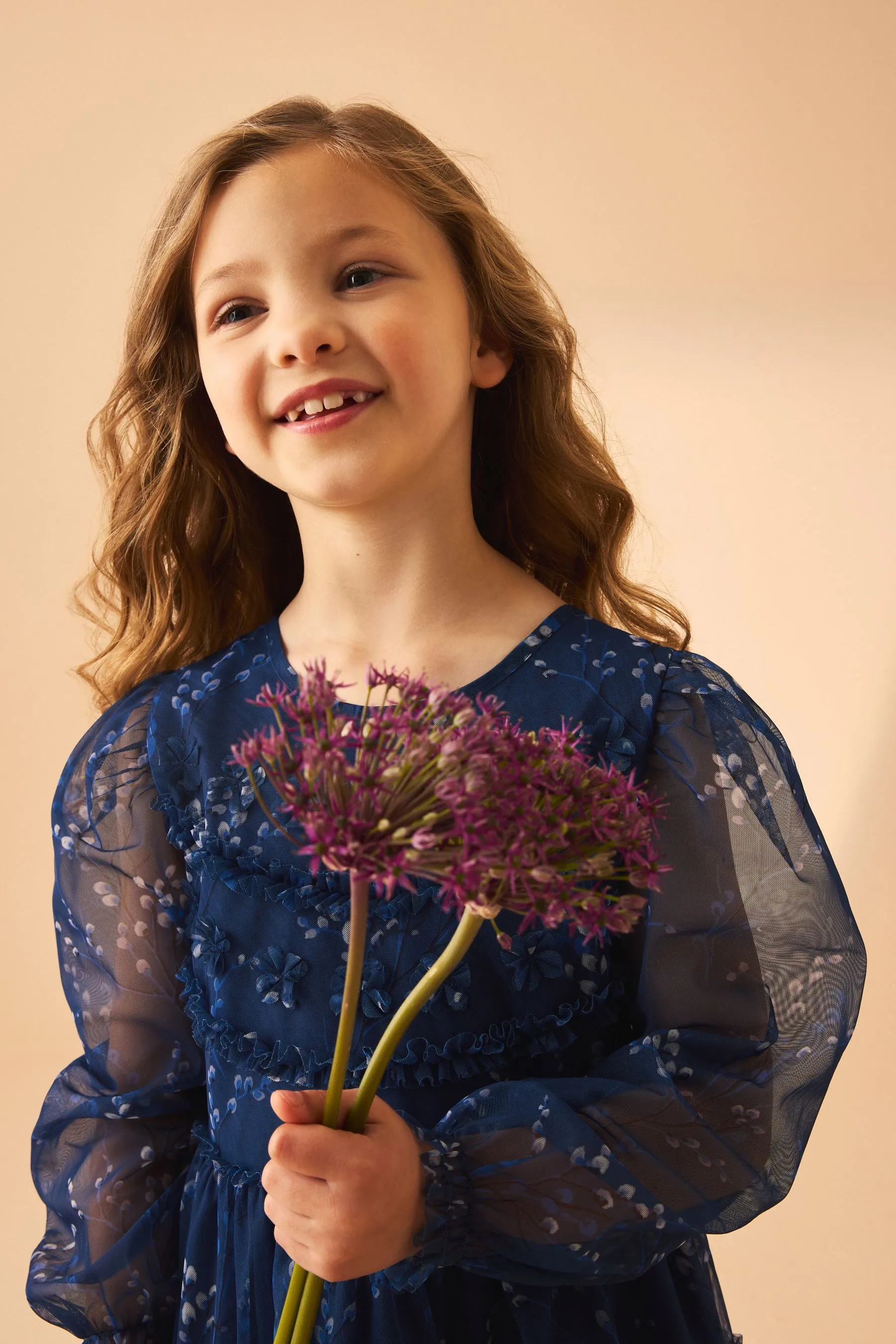 Laura Ashley Tiered Manica lunga Mesh Vestito    