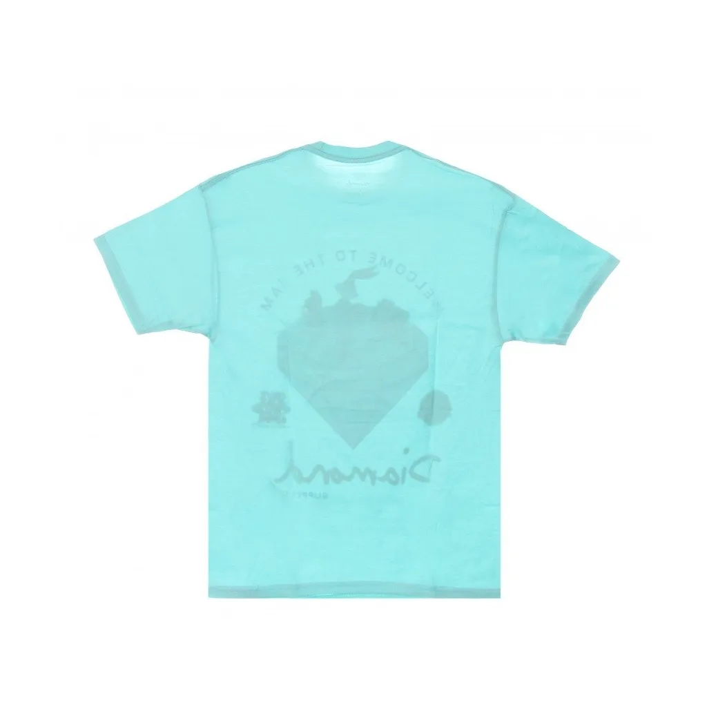 maglietta uomo welcome to the jam tee x space jam 2 DIAMOND BLUE