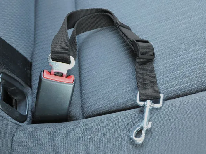 Obelink cintura di sicurezza regolabile per cani